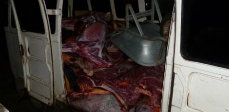 carne de jumento
