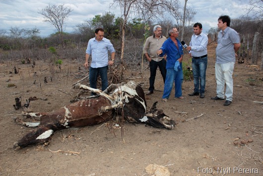 Caravana-da-Seca_Nyll_Pereira