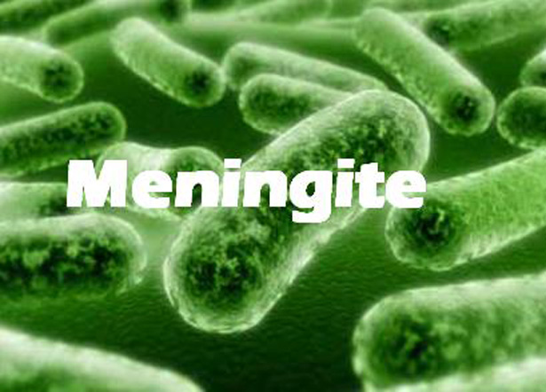 meningite_1A